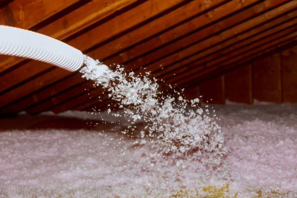 Best Insulation Installation Services in Dardenne Prairie, MO