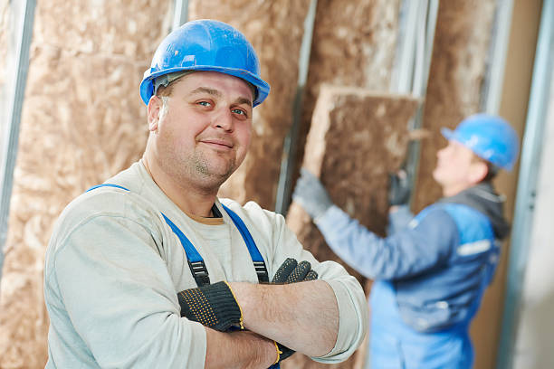 Best Insulation Installation Services in Dardenne Prairie, MO